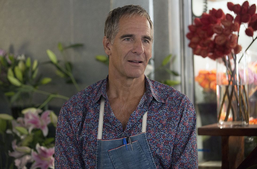Fotoğraf Scott Bakula