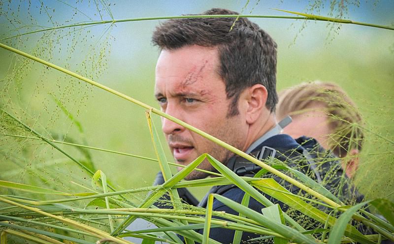 Fotoğraf Alex O'Loughlin