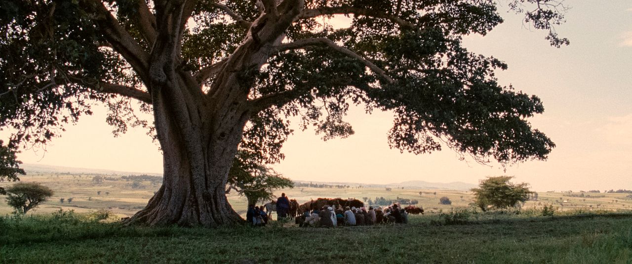 Cesaret : Fotoğraf