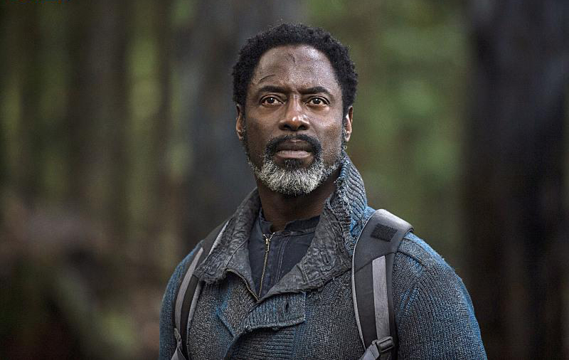 The 100 : Fotoğraf Isaiah Washington