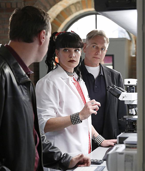 Fotoğraf Pauley Perrette, Mark Harmon