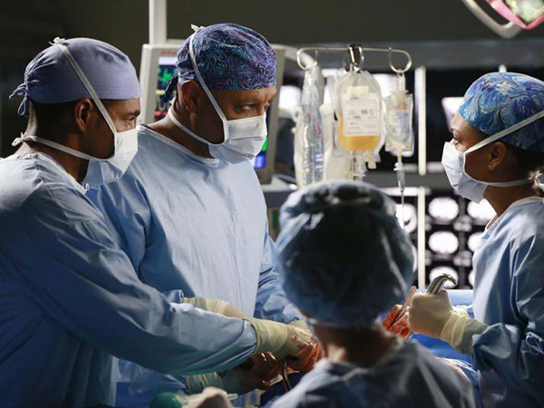 Grey's Anatomy : Fotoğraf James Pickens Jr.