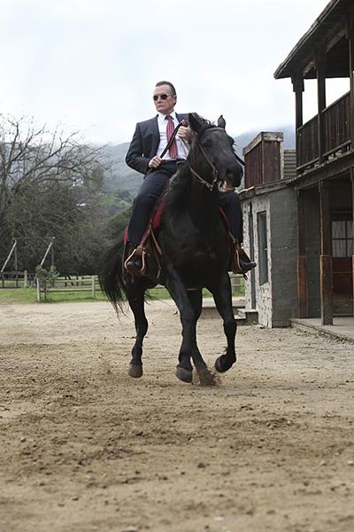 Scorpion : Fotoğraf Robert Patrick