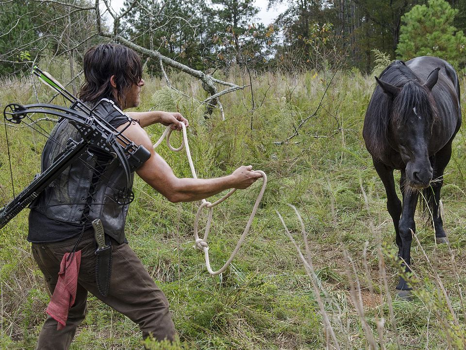 Fotoğraf Norman Reedus