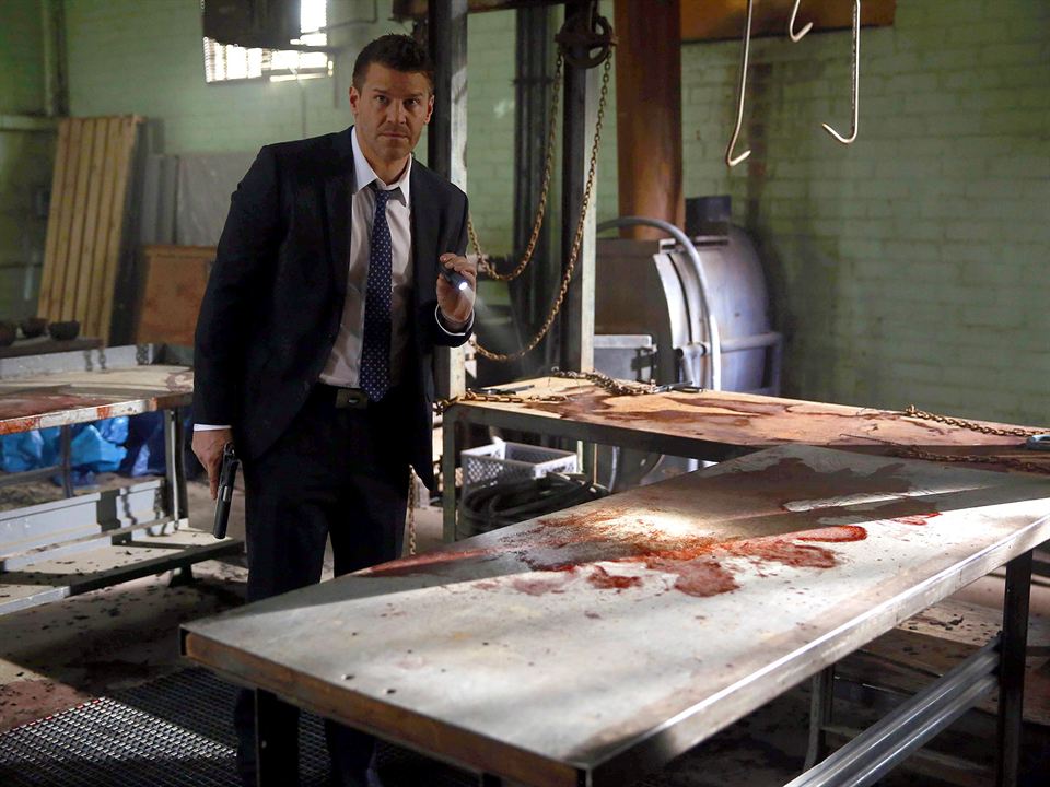 Bones : Fotoğraf David Boreanaz