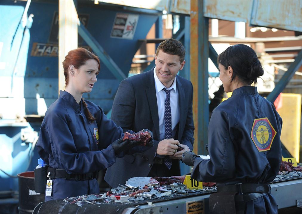 Bones : Fotoğraf David Boreanaz, Tamara Taylor, Laura Spencer