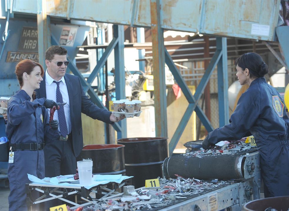 Bones : Fotoğraf Laura Spencer, Tamara Taylor, David Boreanaz