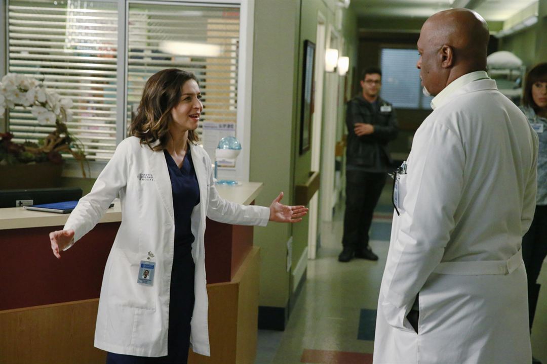 Grey's Anatomy : Fotoğraf Caterina Scorsone, James Pickens Jr.