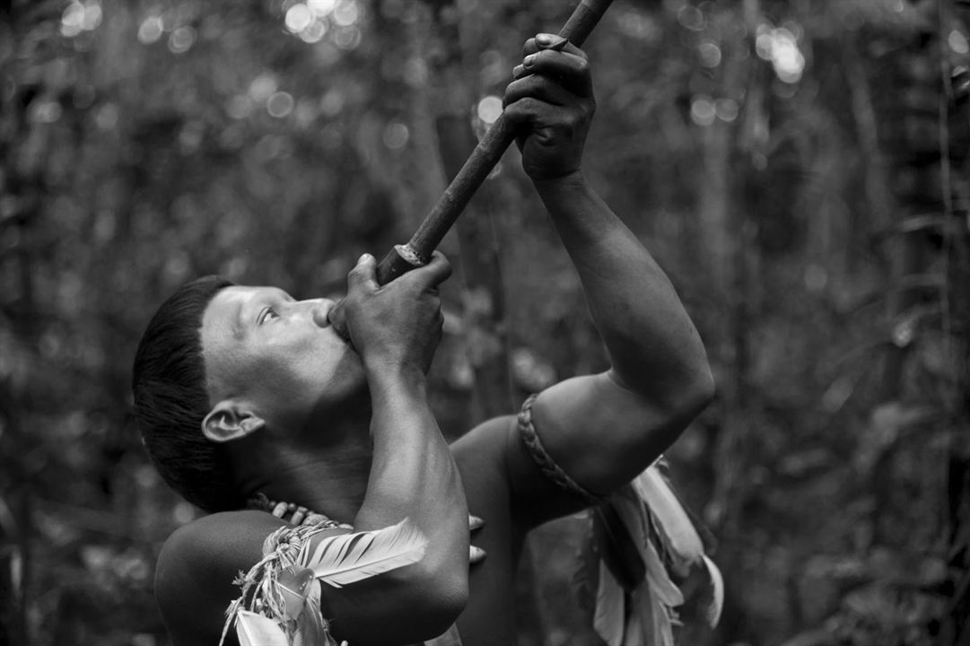 El abrazo de la serpiente : Fotoğraf