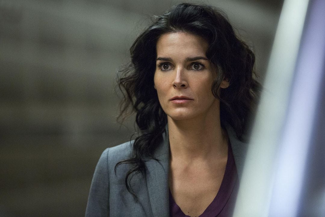 Fotoğraf Angie Harmon