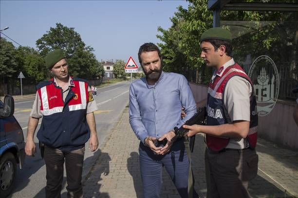 Kertenkele : Fotoğraf