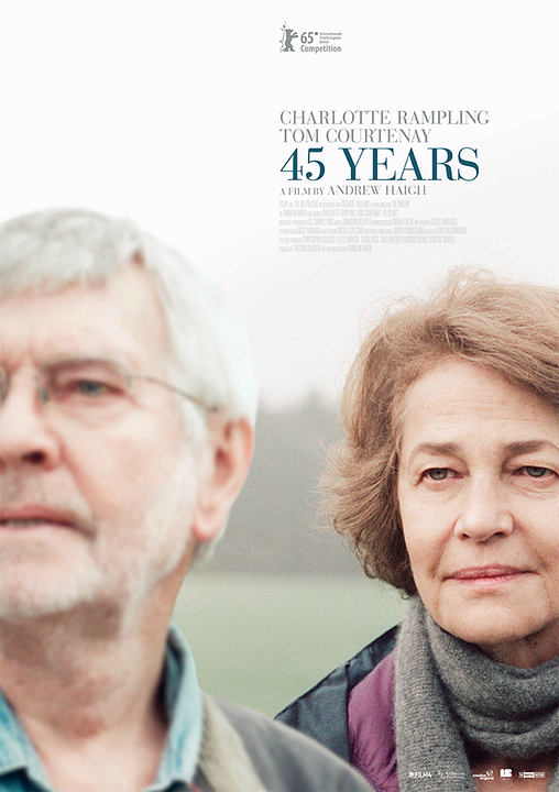 45 Yıl : Afiş