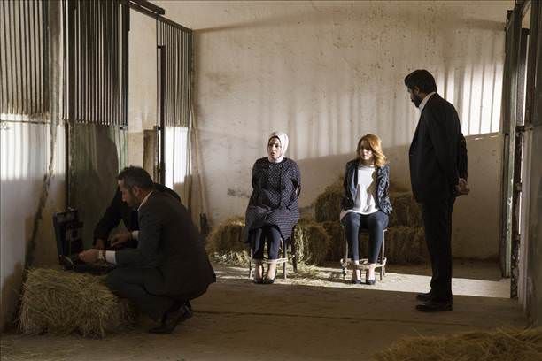 Kertenkele : Fotoğraf