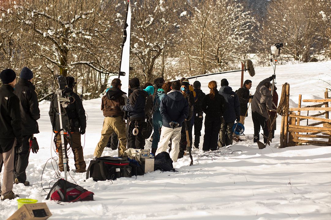 Palmeras en la nieve : Fotoğraf
