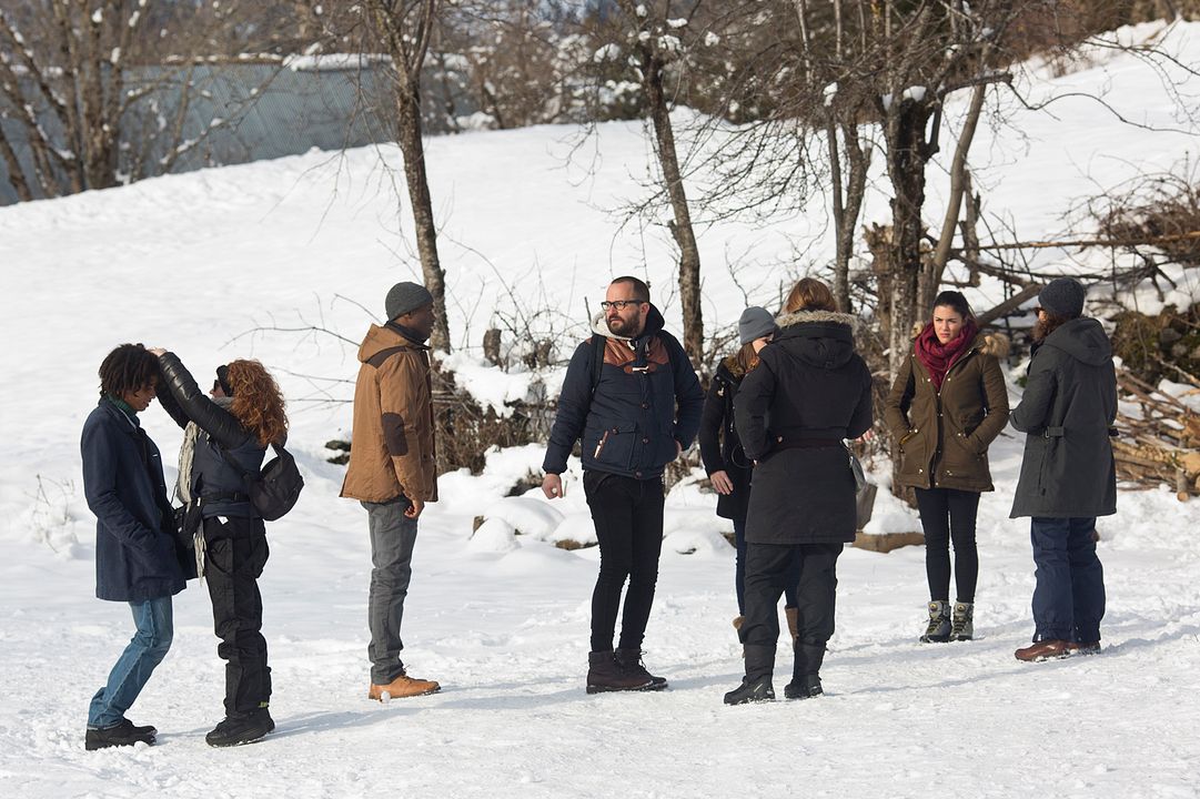 Palmeras en la nieve : Fotoğraf