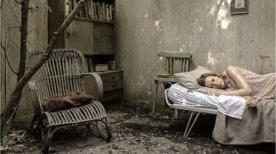 Schneider Bax’a Karşı : Fotoğraf