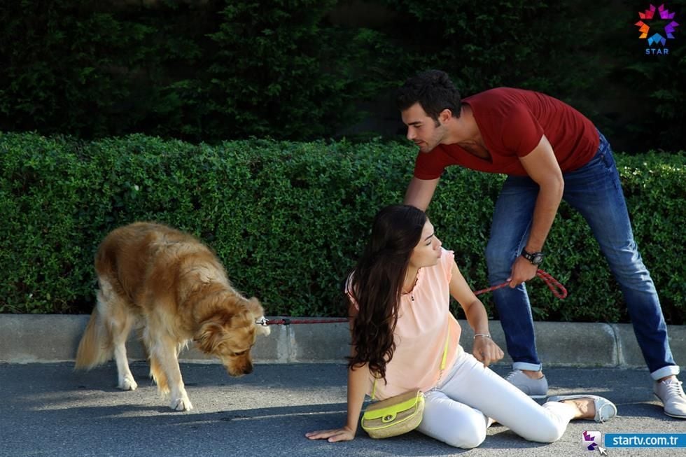 Çilek Kokusu : Fotoğraf