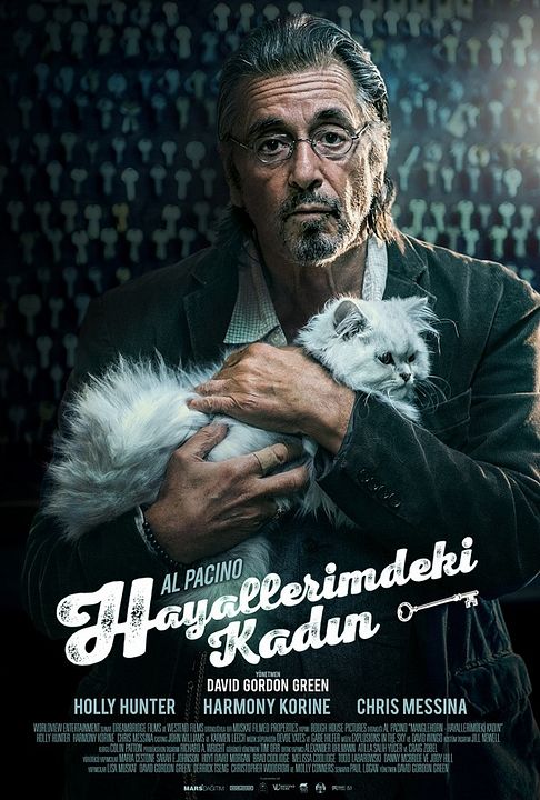 Hayallerimdeki Kadın : Afiş