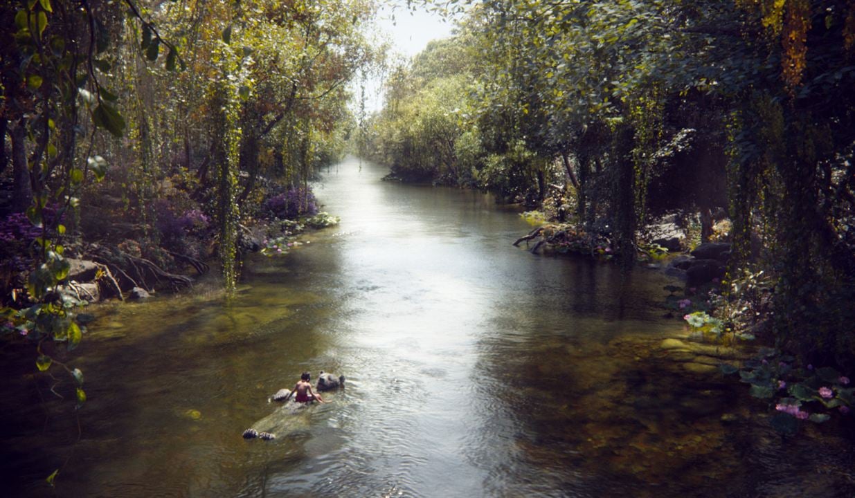 Orman Çocuğu : Fotoğraf Neel Sethi