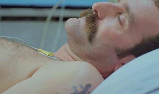 Kertenkele : Fotoğraf