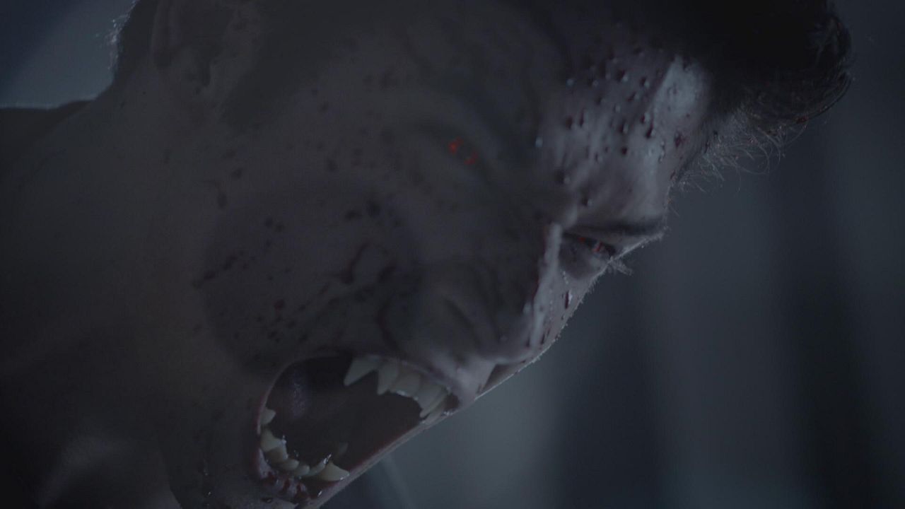 Teen Wolf : Fotoğraf