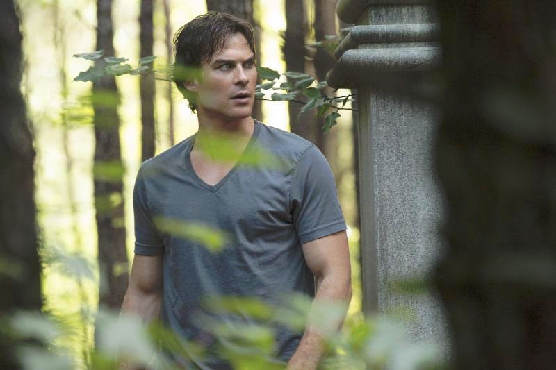 The Vampire Diaries : Fotoğraf Ian Somerhalder