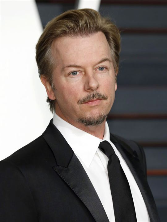 Afiş David Spade