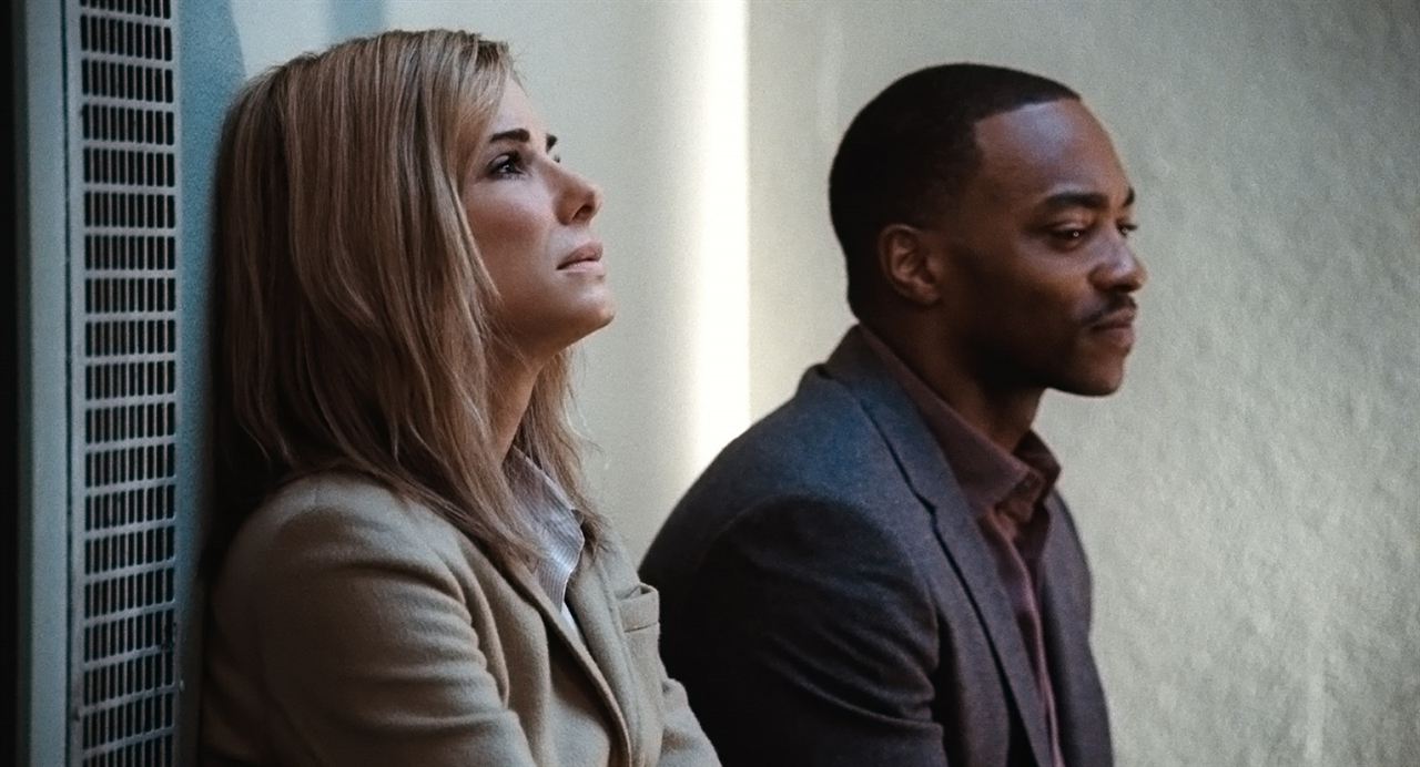 Our Brand Is Crisis : Fotoğraf Sandra Bullock, Anthony Mackie