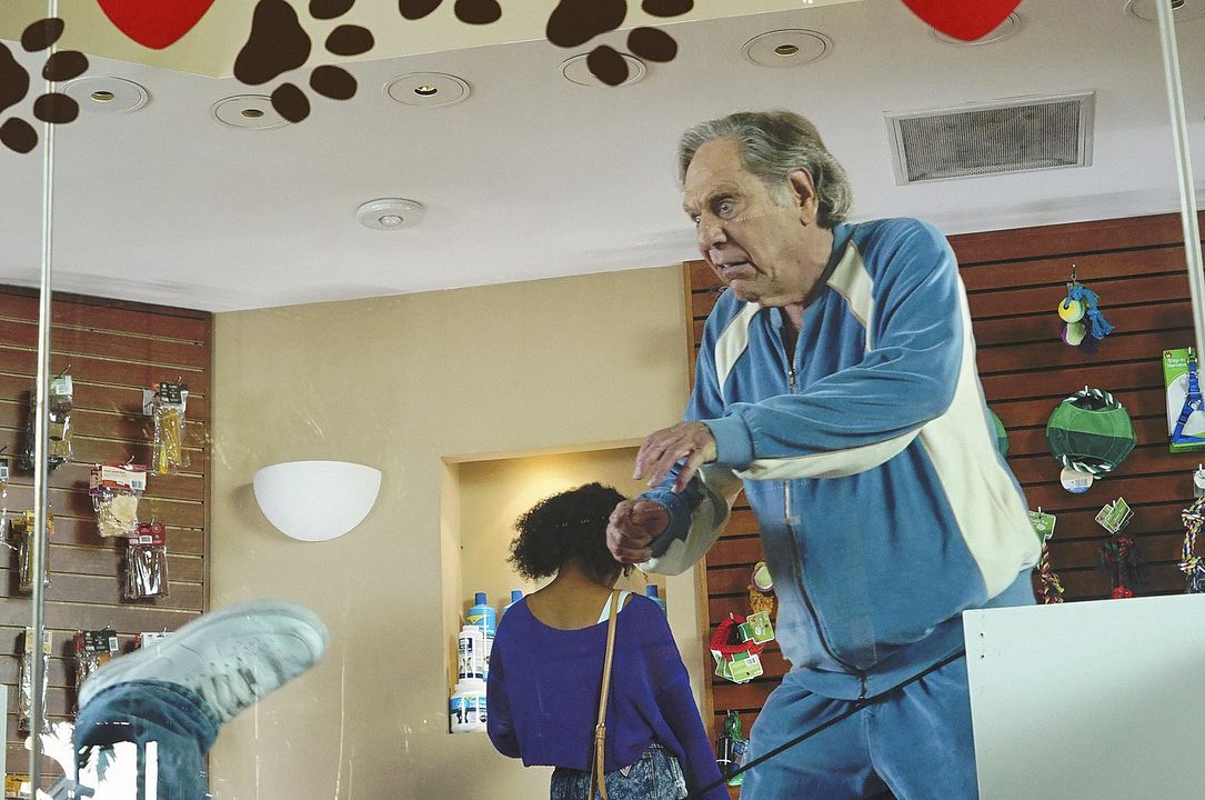 The Goldbergs : Fotoğraf George Segal