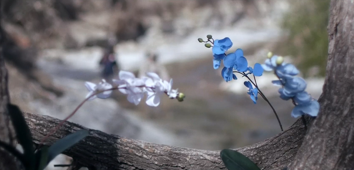 Gizli Kimya : Fotoğraf