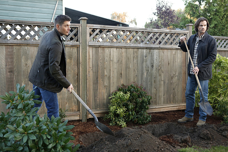 Fotoğraf Jensen Ackles, Jared Padalecki