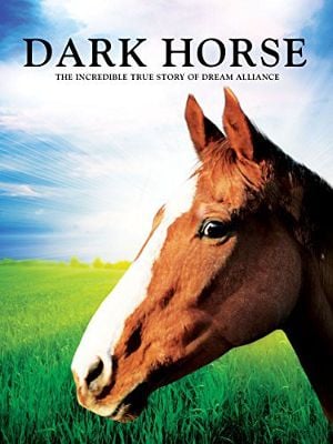 Dark Horse: The Incredible True Story Of Dream Alliance : Afiş