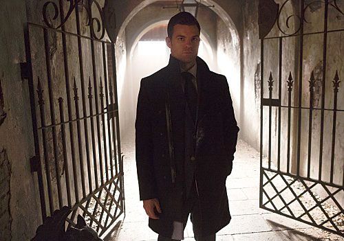 The Originals : Fotoğraf Daniel Gillies