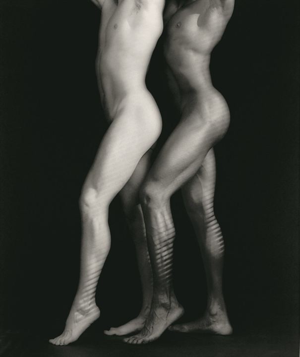 Mapplethorpe: Fotoğrafa Bak! : Fotoğraf