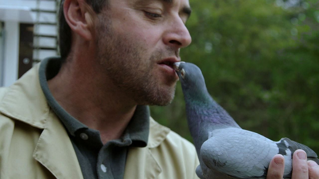 Le Bois dont les rêves sont faits : Fotoğraf