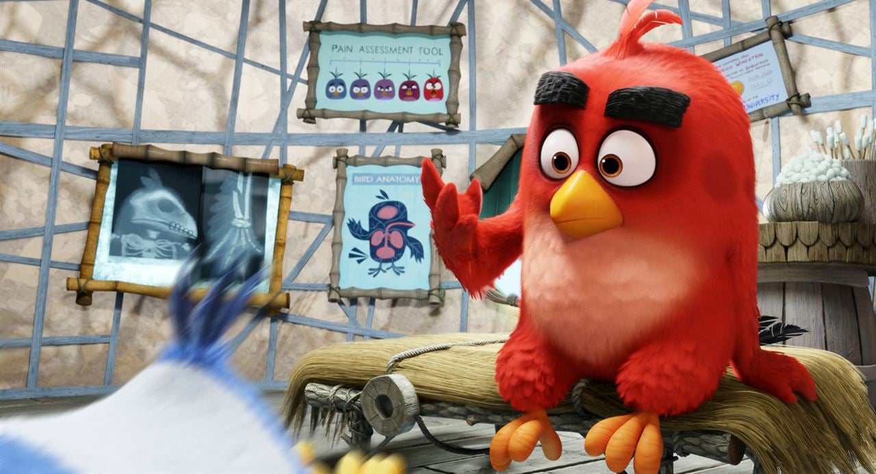 The Angry Birds Movie : Fotoğraf