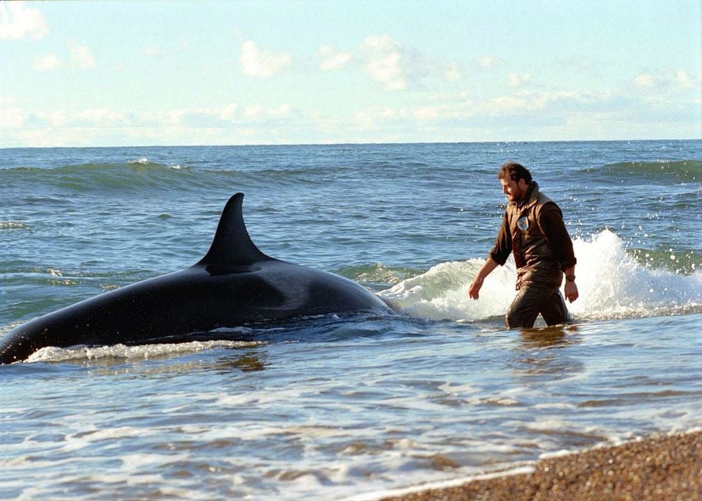 El Faro De Las Orcas : Fotoğraf