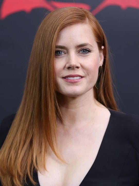 Afiş Amy Adams