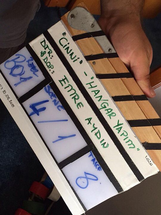 Cinni: Uyanış : Afiş