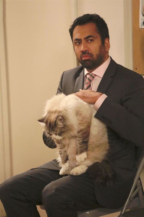 New Girl : Fotoğraf Kal Penn