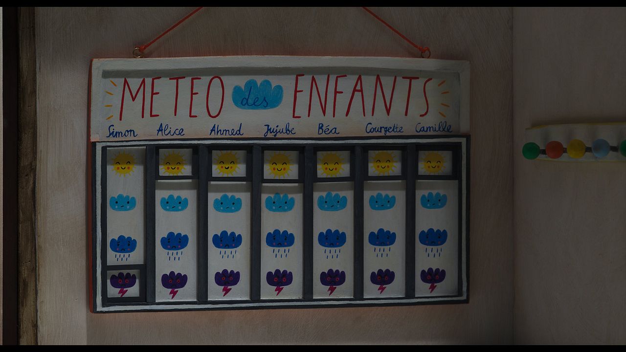 Kabakçığın Hayatı : Fotoğraf