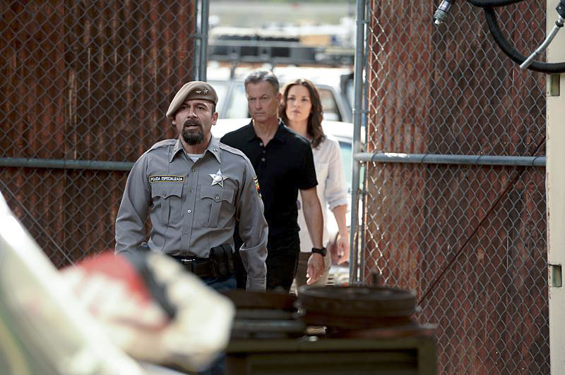 Criminal Minds: Beyond Borders : Fotoğraf Alana De La Garza, Gary Sinise
