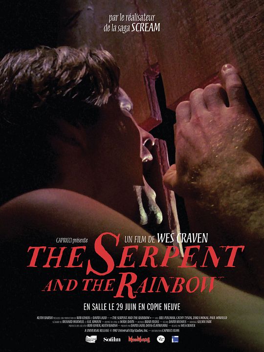 The Serpent and the Rainbow : Afiş