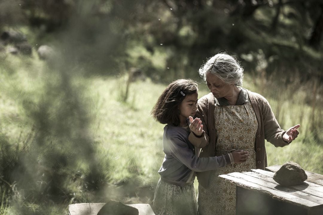 Aile Reisi : Fotoğraf Nancy Brunning