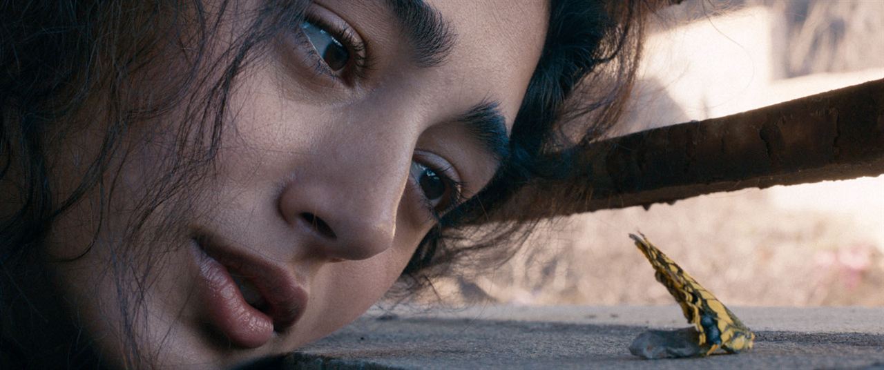 Eve Dönüş : Fotoğraf Golshifteh Farahani