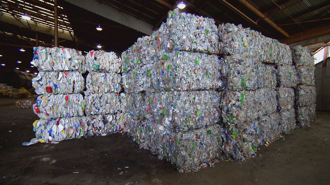 Trashed : Fotoğraf
