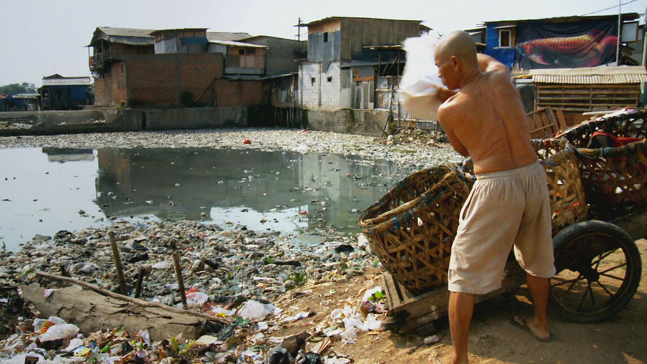 Trashed : Fotoğraf