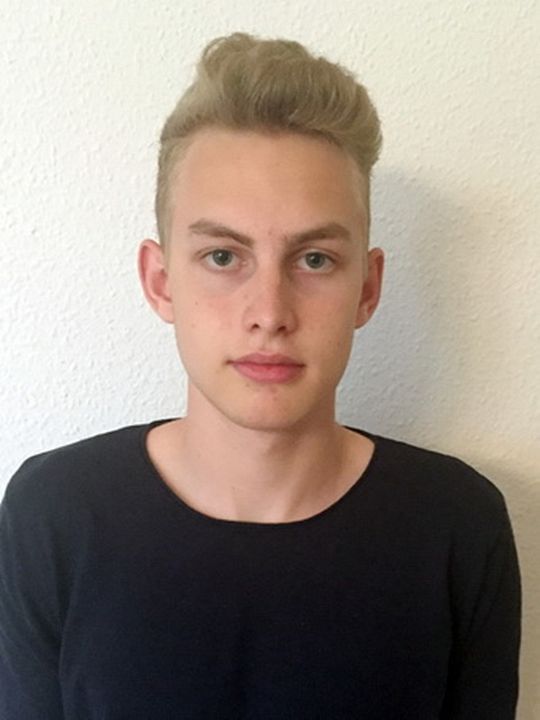 Afiş Julius Felsberg