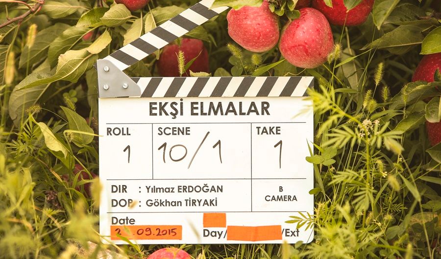 Ekşi Elmalar : Fotoğraf