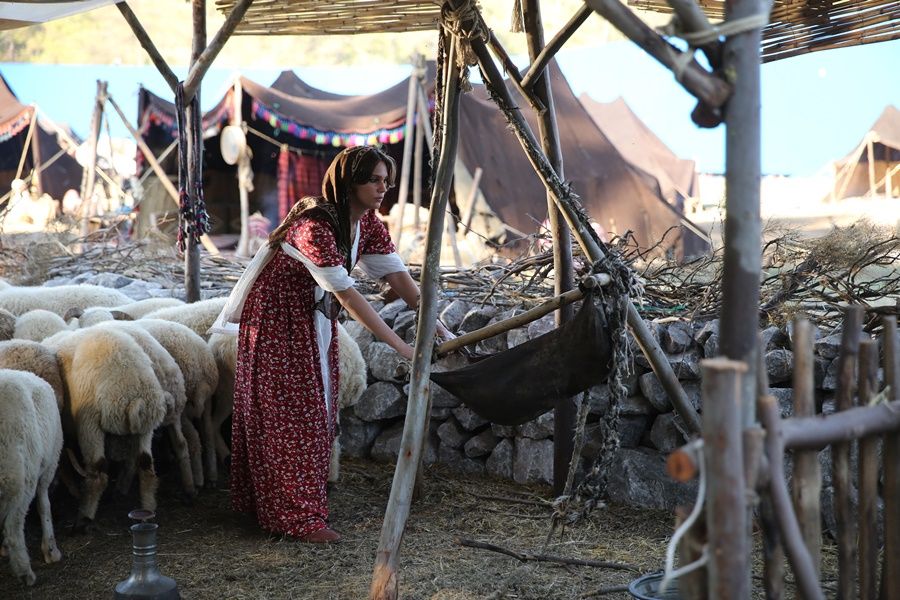 Ekşi Elmalar : Fotoğraf